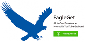 Phần mềm download nhẹ nhất, nhanh nhất cho windows – EagleGet
